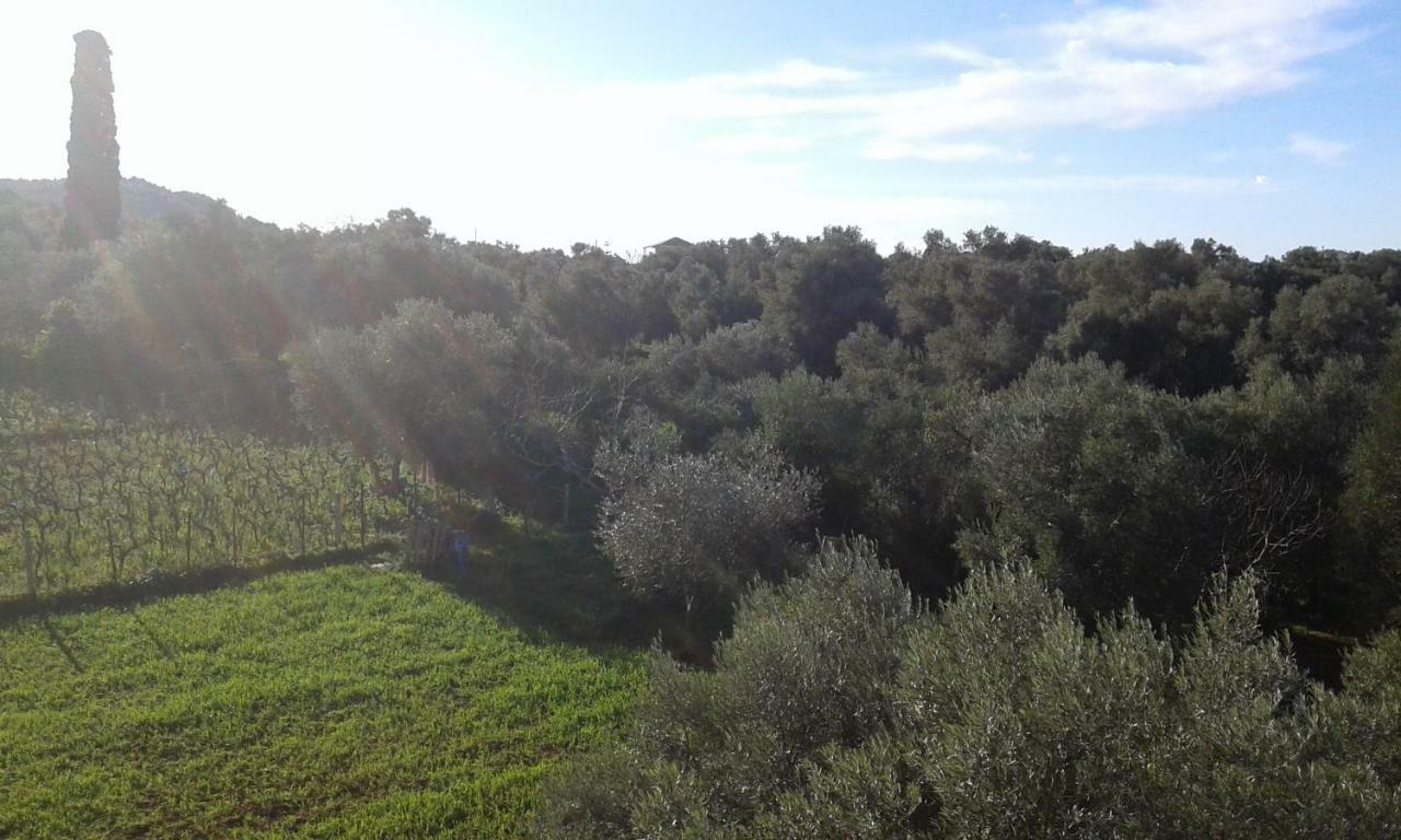Apartmán To Agridi Tsoukaládhes Exteriér fotografie